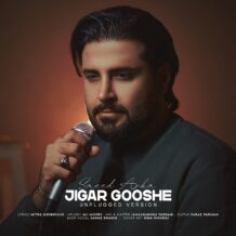 آهنگ جدید آرکا به نام جیگر گوشه (ورژن آنپلاگد)